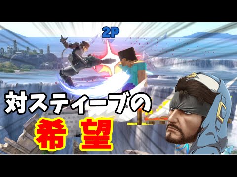 スティーブ批判はもう古い！コイツでスティーブ狩りの時間だ！！【スマブラSP】