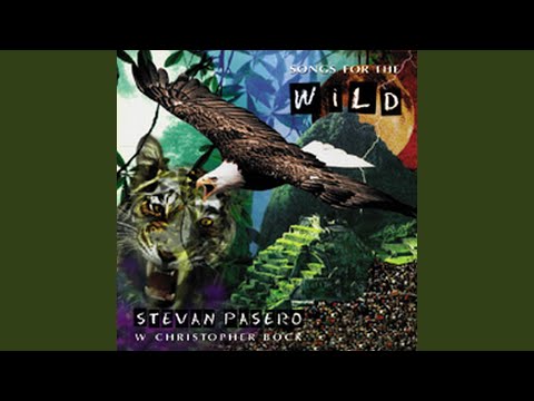Stevan Pasero — Our Midnight Serenade