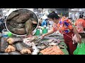 Market show, buy river fish from the market for cooking / Fry fish dip in tamarind fish sauce