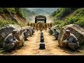 Eighth Route Army plants bombs along the road and blows up an entire Japanese unit instantly.