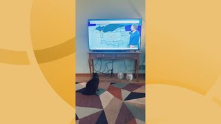 This cat from Canton is a big fan of Matt Wintz and WKYC by WKYC Channel 3 198 views 19 hours ago 1 minute, 3 seconds