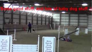 Vice's 1st AKC Q! Novice FAST - Oct. 2012