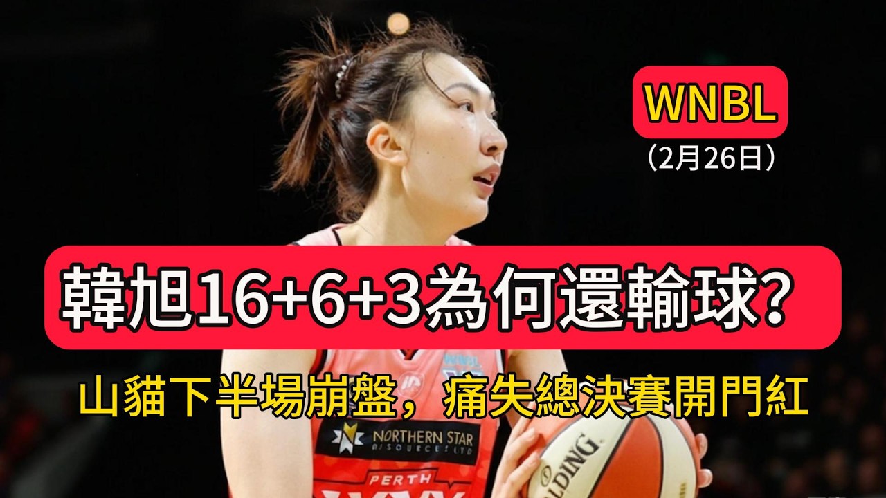 韓旭16+6+3為何還輸球？山貓下半場崩盤，痛失總決賽開門紅！