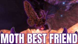 Details White Knuckle but My Best Friend is a Moth News