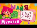 Майя знает - 9 Серия - Муравьи