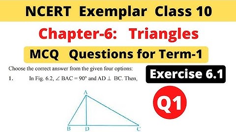 NCERT Exemplar | Class 10 Maths | Chapter 6 Triangles | Exercise 6.1 | Question 1 | MCQ Term 1