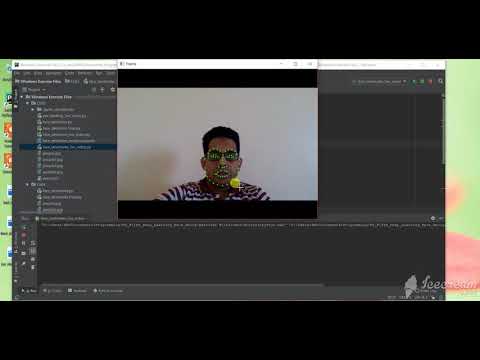 face landmark detection in a live video