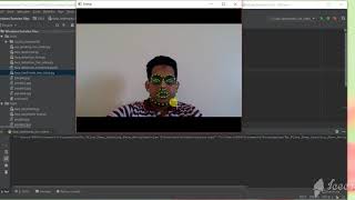 face landmark detection in a live video