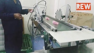 Batch Coding Conveyor Belt