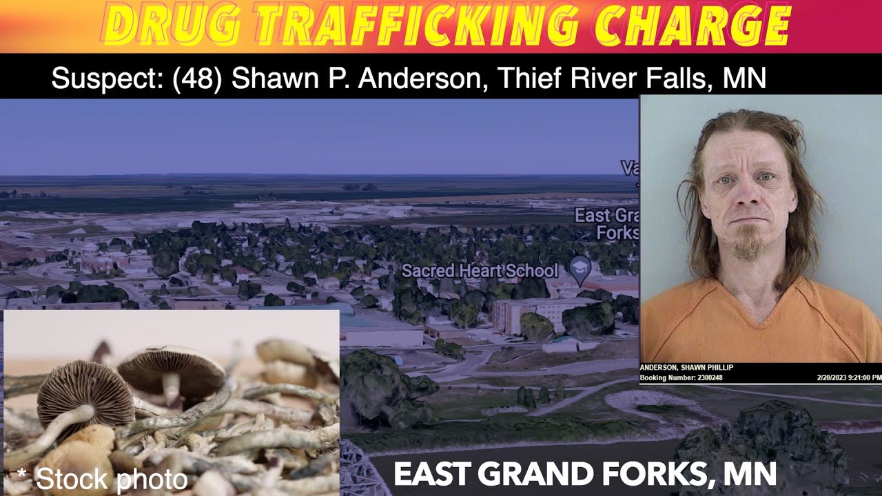 Thief River Falls Man Facing Drug Trafficking Charge In EGF - YouTube
