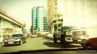 bikini body's - dawin