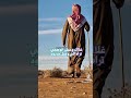 حسافه حب ربيته