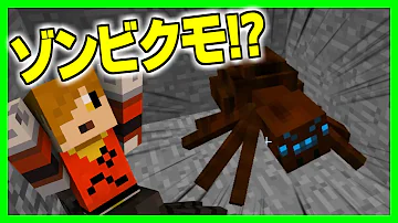 ペイント 蜘蛛の女王サバイバル