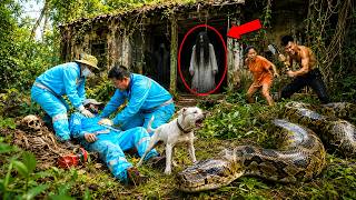 72 Hours of Terror: Workers Find a Giant Python and Ghost Inside an Abandoned House!