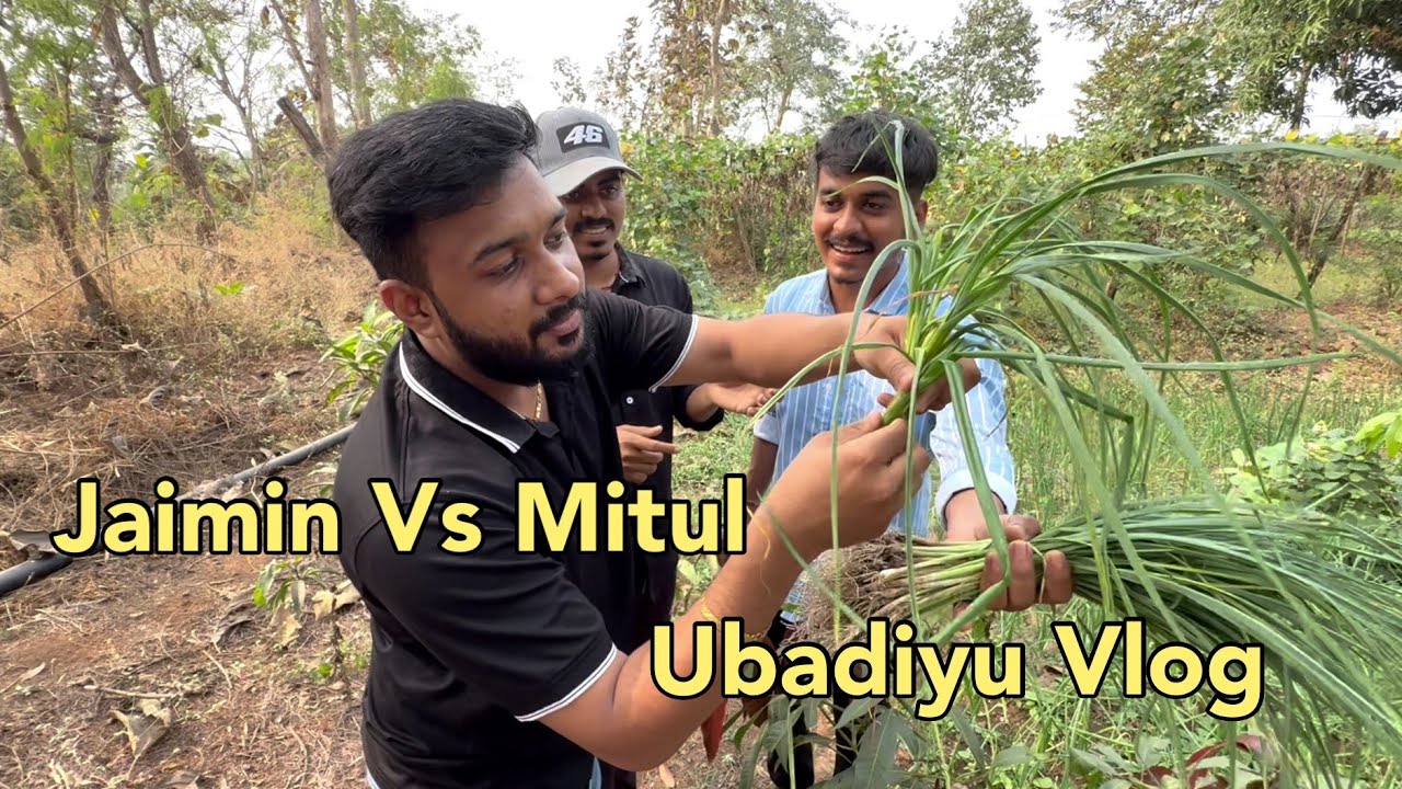 Jaimin Vs Mitul | Ubadiyu Vlog | Full masti