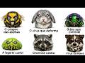 Cada Vírus que Transforma Animais em ZUMBIS Explicado