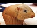 Hamster muffin