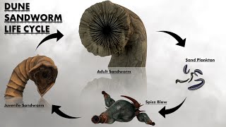 Origins, Biology & Life Cycle of Dune Sandworms