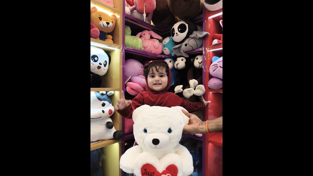 Wedding Ceremony !! Dr.Ittiqua Weds Dr. Azeem !! 26th Nov 2023