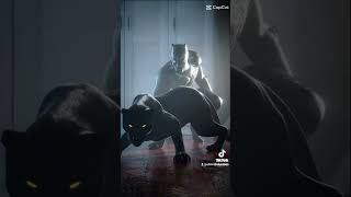 crazy crazy people Village of Capelas Azores