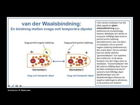 Video: Vad menar du med vanlighet?