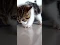 #short #viral #tranding #short