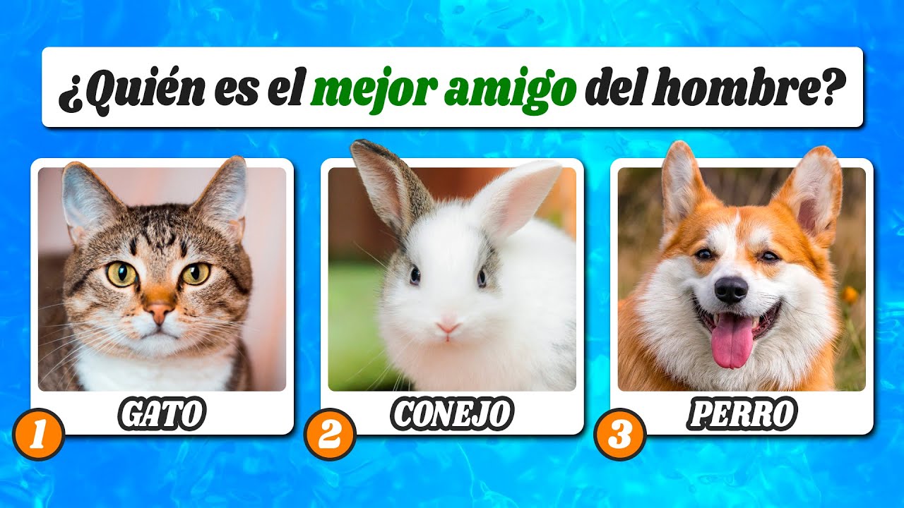 ¿Cuánto Sabes de ANIMALES? 🦁 Desafío de 50 PREGUNTAS ✅