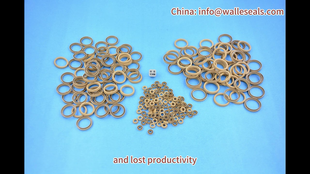 Sealing Success Unleashed Unlocking Profits by Tackling Dispensing Valve Seal Ring Leakage