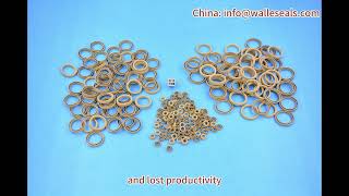 Celebrity Sealing Success Unleashed Unlocking Profits by Tackling Dispensing Valve Seal Ring Leakage Profile