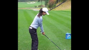 This is a textbook of the driver swing.