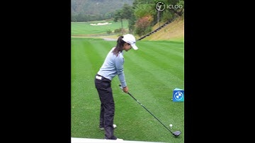 This is a textbook of the driver swing.