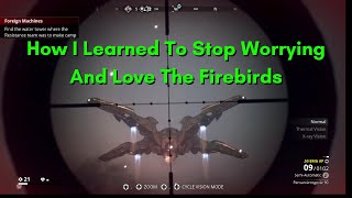 How I Learned To Stop Worrying And Love The Firebirds | Generation Zero