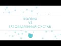 КОЛЕНО vs ТАЗОБЕДРЕННЫЙ СУСТАВ
