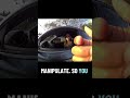 COP DOUBLES DOWN ON ABSOLUTE NONSENSE 😭