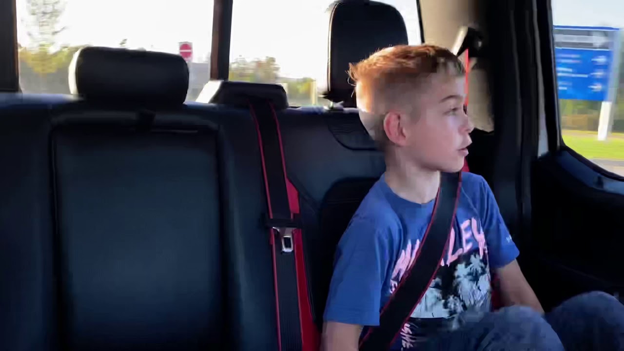 St. Berdoodle puppy is a surprise gift to two boys