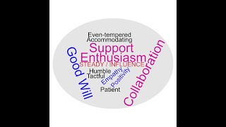 DiSC® -  Understanding the Si (Steady / Influence) Style