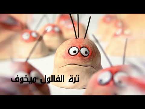 اين ما يكون الفالول في جسمك مع فوروراتس الحل