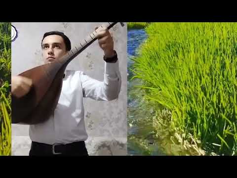 Mübariz Qafanlı - Baş Dubeyti