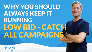 Why You Should Always Keep It Running Low Bid - Catch All Campaigns