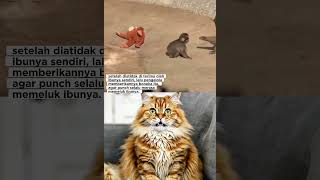 Download Lagu PUNCH MQNYET VIRAL DARI JEPANG‼️ #funny #shortvideo MP3