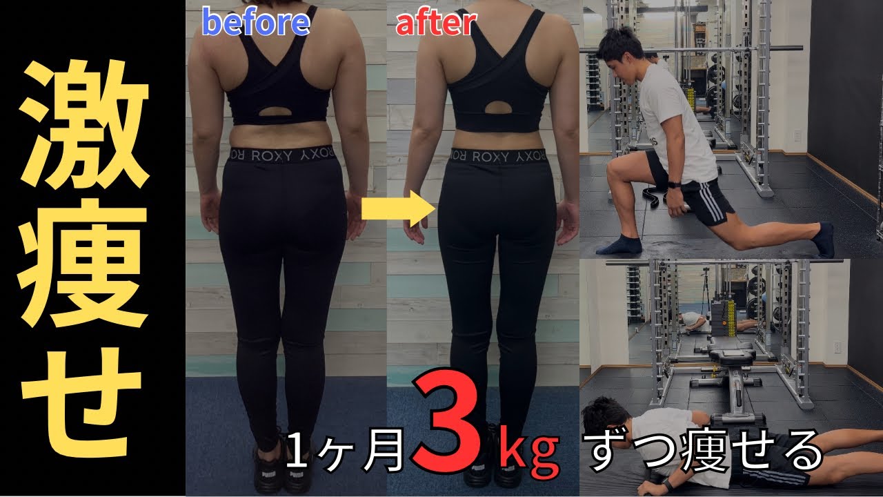 NDD 体内改善ダイエット3ヶ月分 ダイエットフード