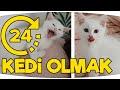 24 SAAT BOYUNCA KEDİ OLARAK YAŞAMAK ?! Fenomen Tv