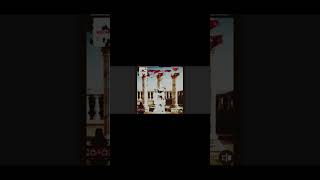 Roxsson Lincoln Lil Pillar Pooh Shy-Chi