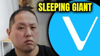 VECHAIN IS A SLEEPING GIANT