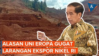 Jokowi Ungkap Alasan di Balik Gugatan Eropa soal Ekspor Nikel Indonesia