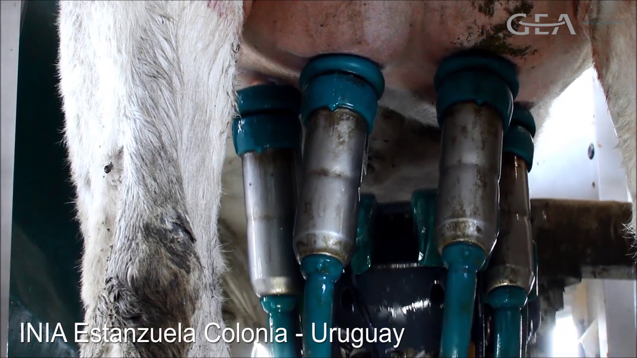 Robot Monobox INIA 2018 | GEA Uruguay