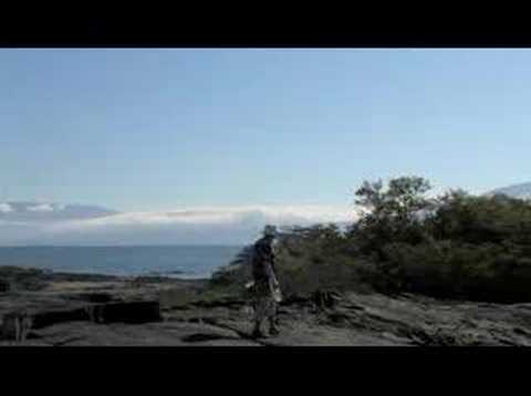 "The Lava Lizard's Tale" by Richard Dawkins