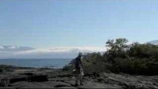 The Lava Lizard's Tale by Richard Dawkins