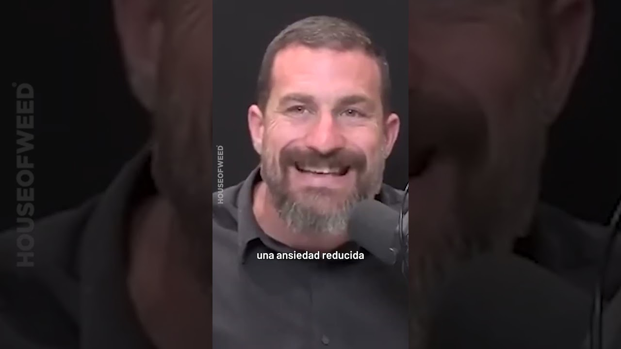 ¿El Cannabis aumenta la creatividad?