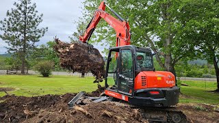 Monster stump with the Kubota KX 080 4